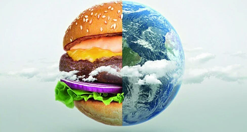 Green is Better : un fast-food aux ambitions écologiques !