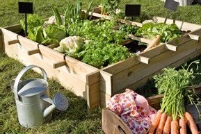 Un potager à domicile : cultiver ses légumes sans effort
