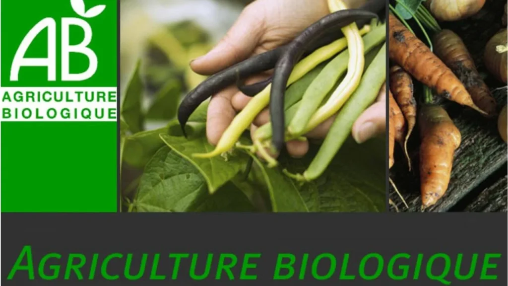 LE MARCHÉ FRANÇAIS DU BIO EN 2022